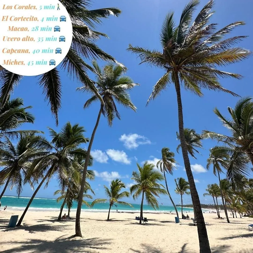 A Pasos De La Playa Cerca De Bares Y Restaurantes Apartment Punta Cana Dominican Republic